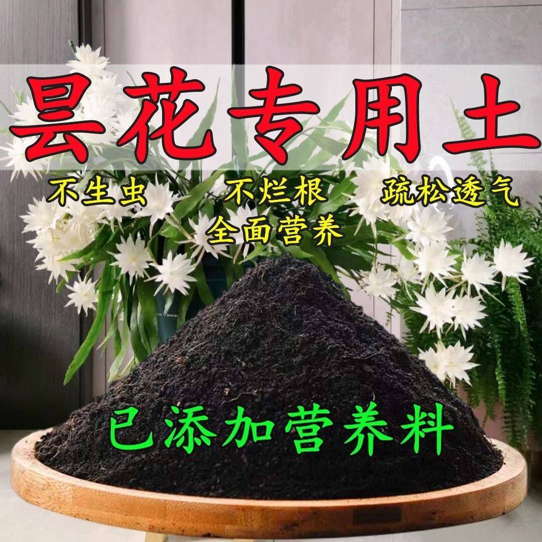 昙花专用土昙花土壤养花营养土多肉绿萝盆栽种植土椰糠土有机肥料