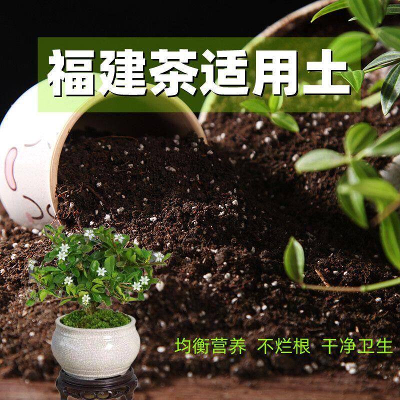 福建茶适用土酸性种花养花营养土通用型疏松透气有机土种菜种植土