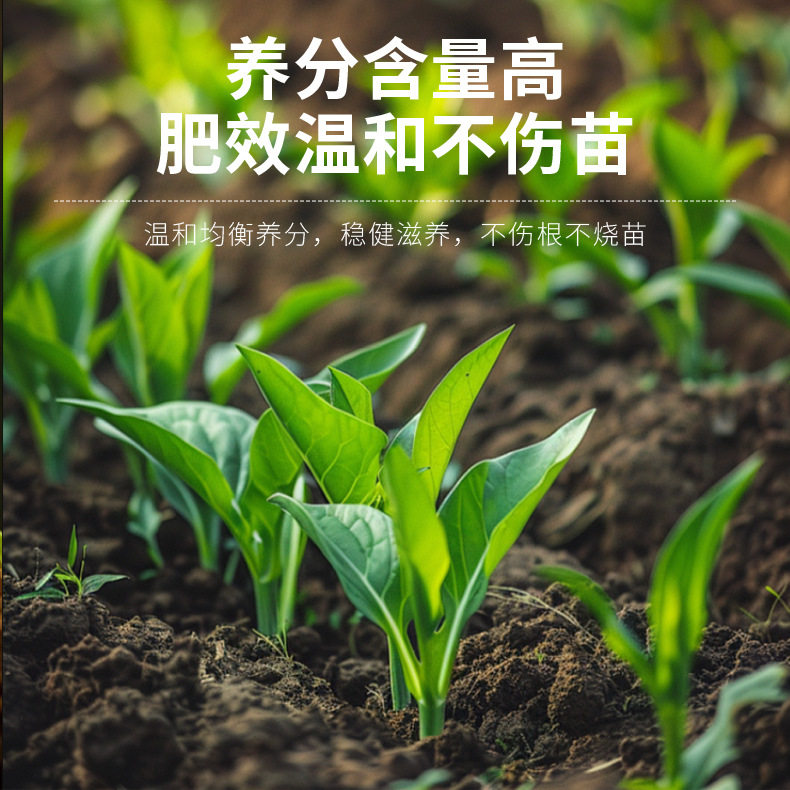 海桐适用肥花肥复合肥叶片肥厚缓释长效阳台盆栽追肥枝繁叶茂园艺