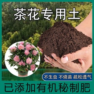 茶花专用土肥料营养土家用阳台养山茶花专用微酸性土壤有机种植土
