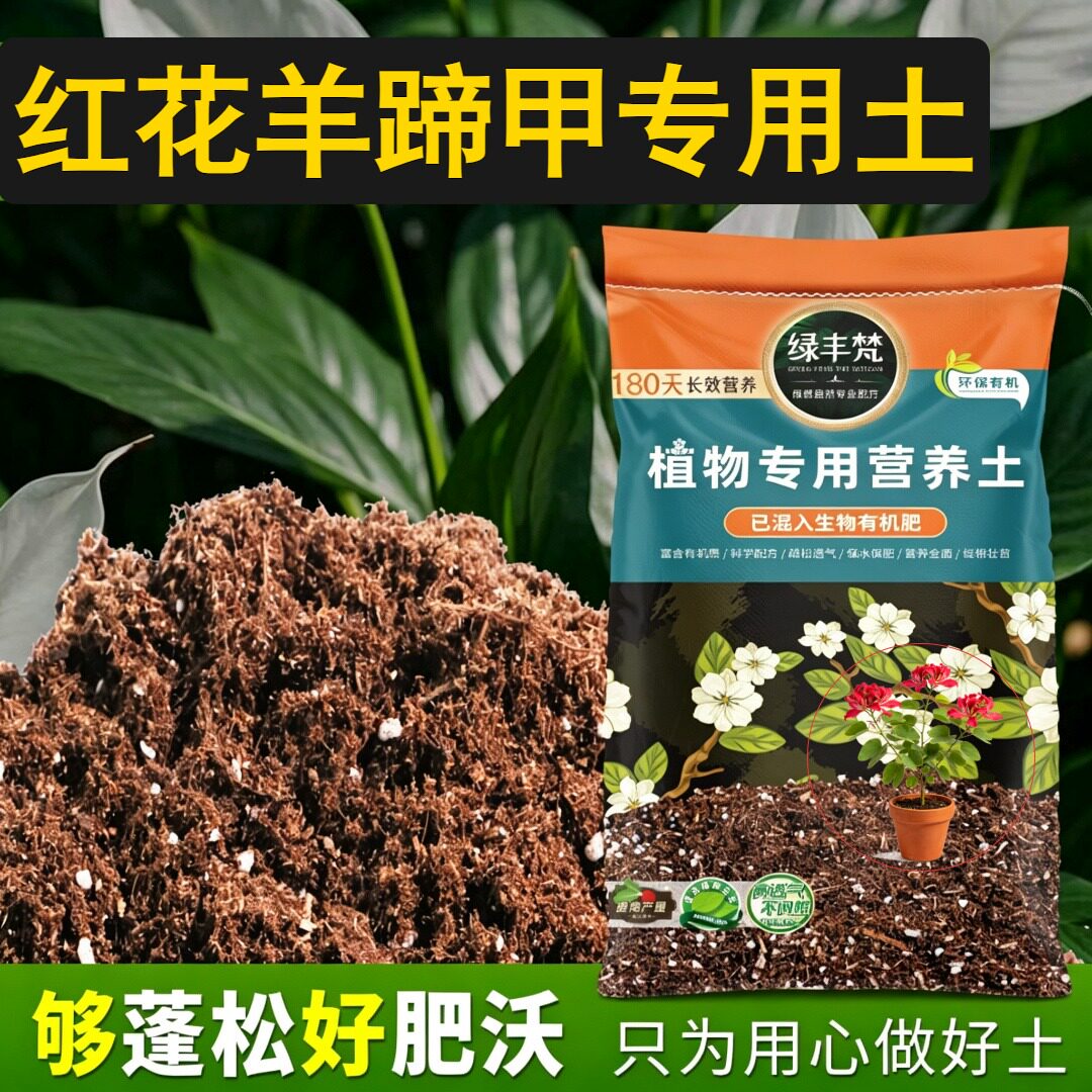 红花羊蹄甲适用基质根壮苗好多肉盆栽土经久耐用壮根开袋即用观叶