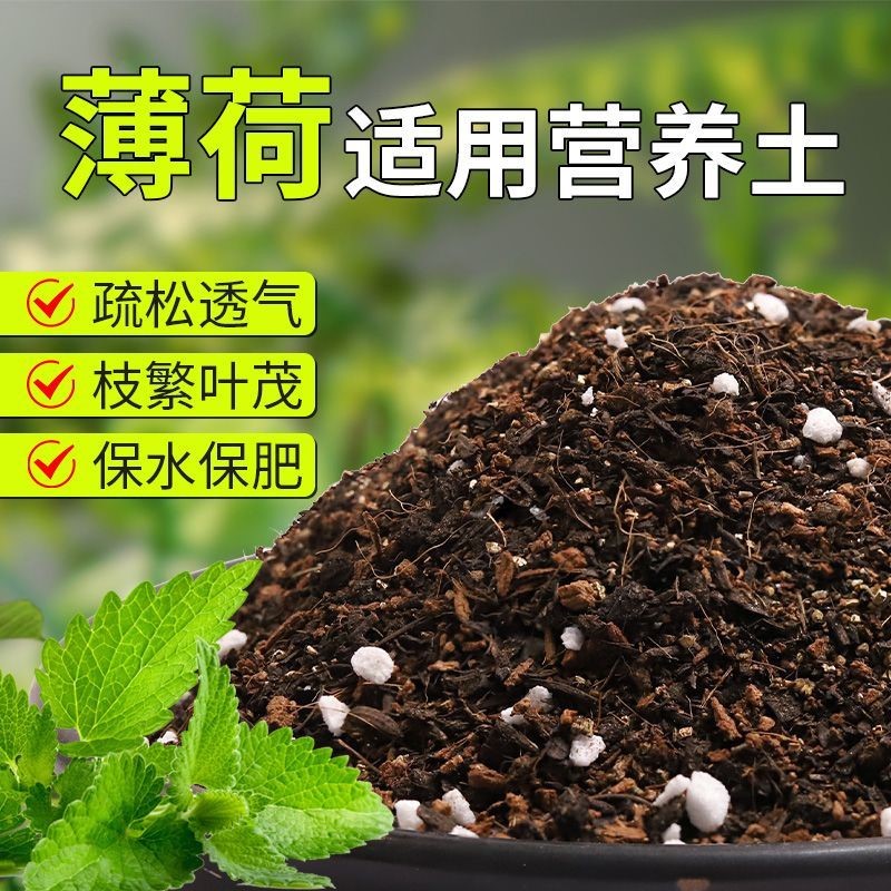 【薄荷专用土】疏松透气盆栽绿植专用园艺室内植物有机营养土肥料