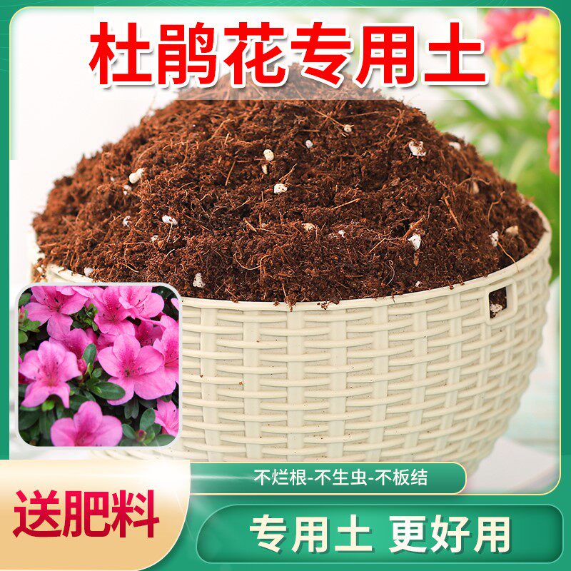 杜鹃花专用营养土阳台扦插腐殖盆栽土多元土花卉盆栽有机土培养土