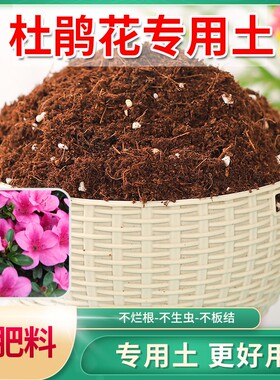 杜鹃花专用营养土阳台扦插腐殖盆栽土多元土花卉盆栽有机土培养土
