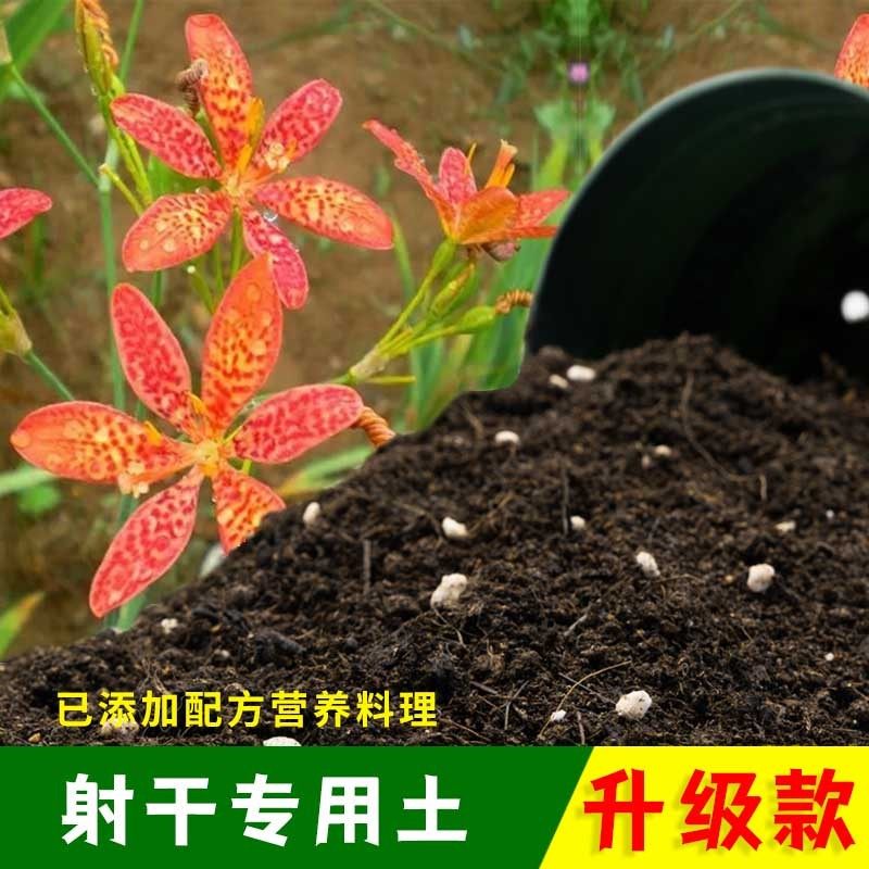 射干专用土射干营养土有机土肥料家用种植土盆栽种花养花泥土包邮