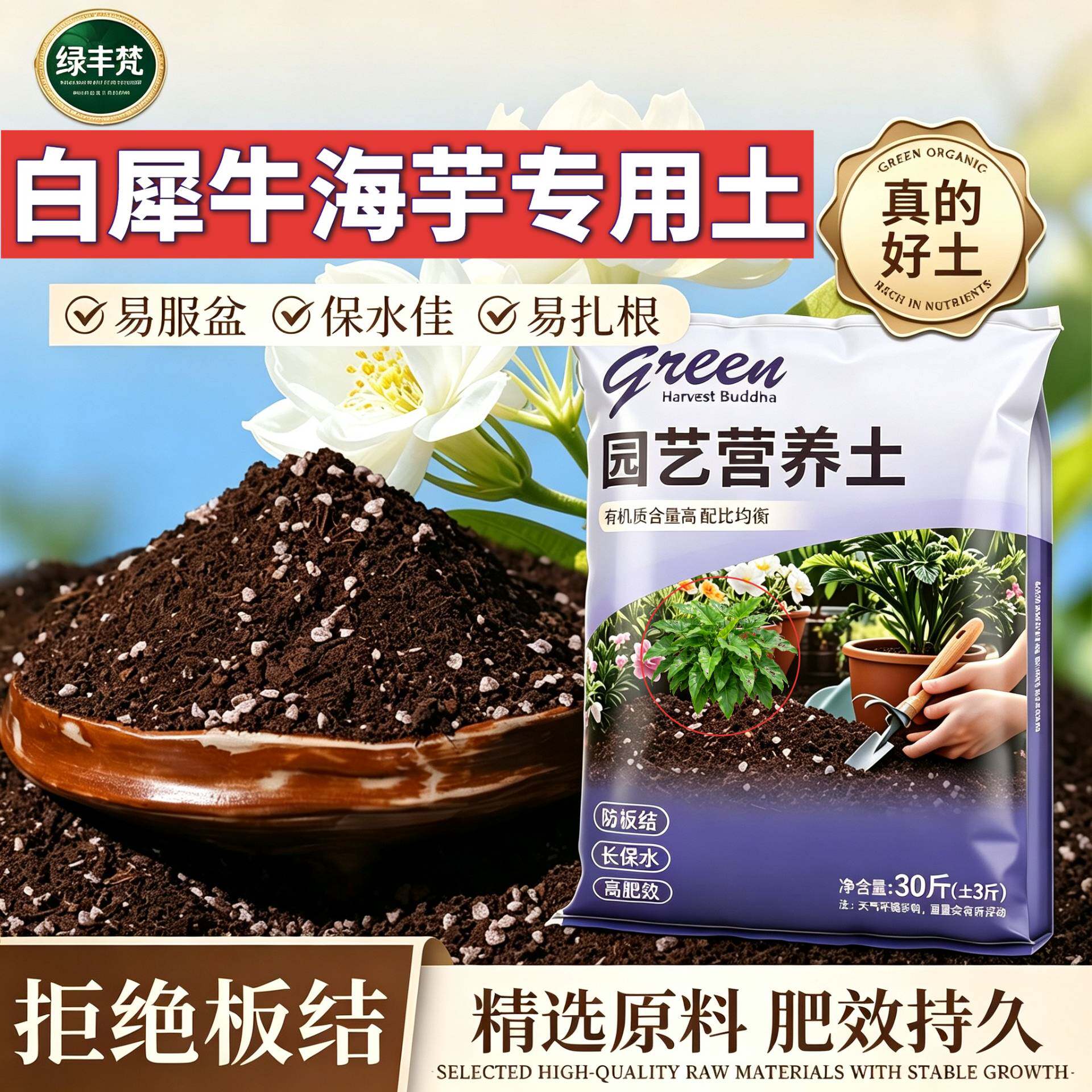 白犀牛海芋适用进口泥炭土高温灭菌育苗加深生根粉优质绿叶木本