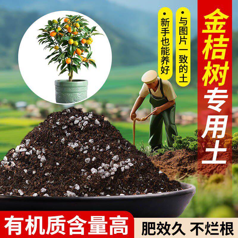 金桔树营养土适用土营养土含泥炭肥料通用有机种植疏松透气专用土
