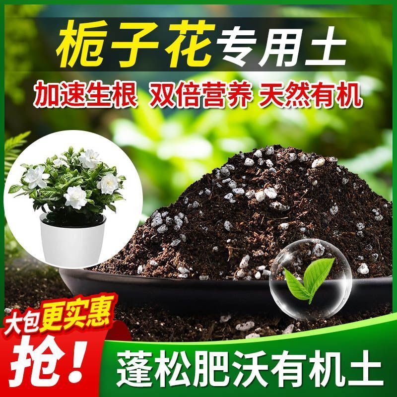 栀子花专用土栀子花土壤养花营养土多肉绿萝盆栽种植土椰糠土肥料