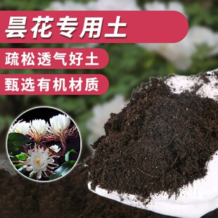 昙花专用土营养土绿植有机园艺植物透气瓜果酸性家用种植家庭鲜花