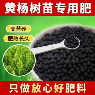 黄杨树专用肥料绿植专用肥专用土水溶肥高钾肥有机肥壮根室内盆栽