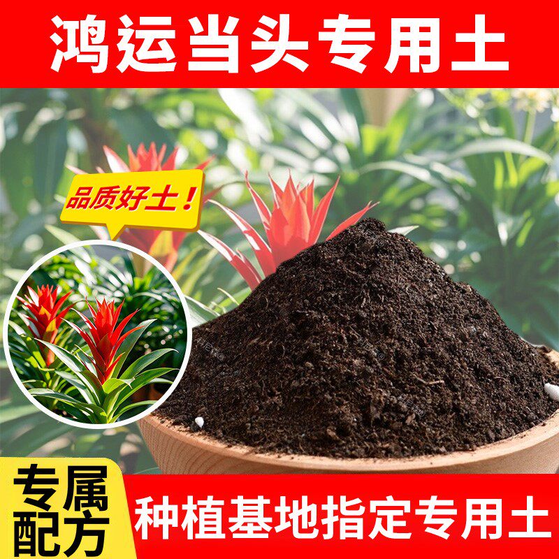 鸿运当头专用土壤种植土花泥通用型营养土建兰寒兰兰科植料新土