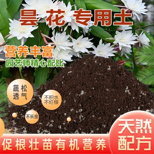 昙花专用土家用种植土壤透气昙花营养土盆栽种花养花有机土肥料