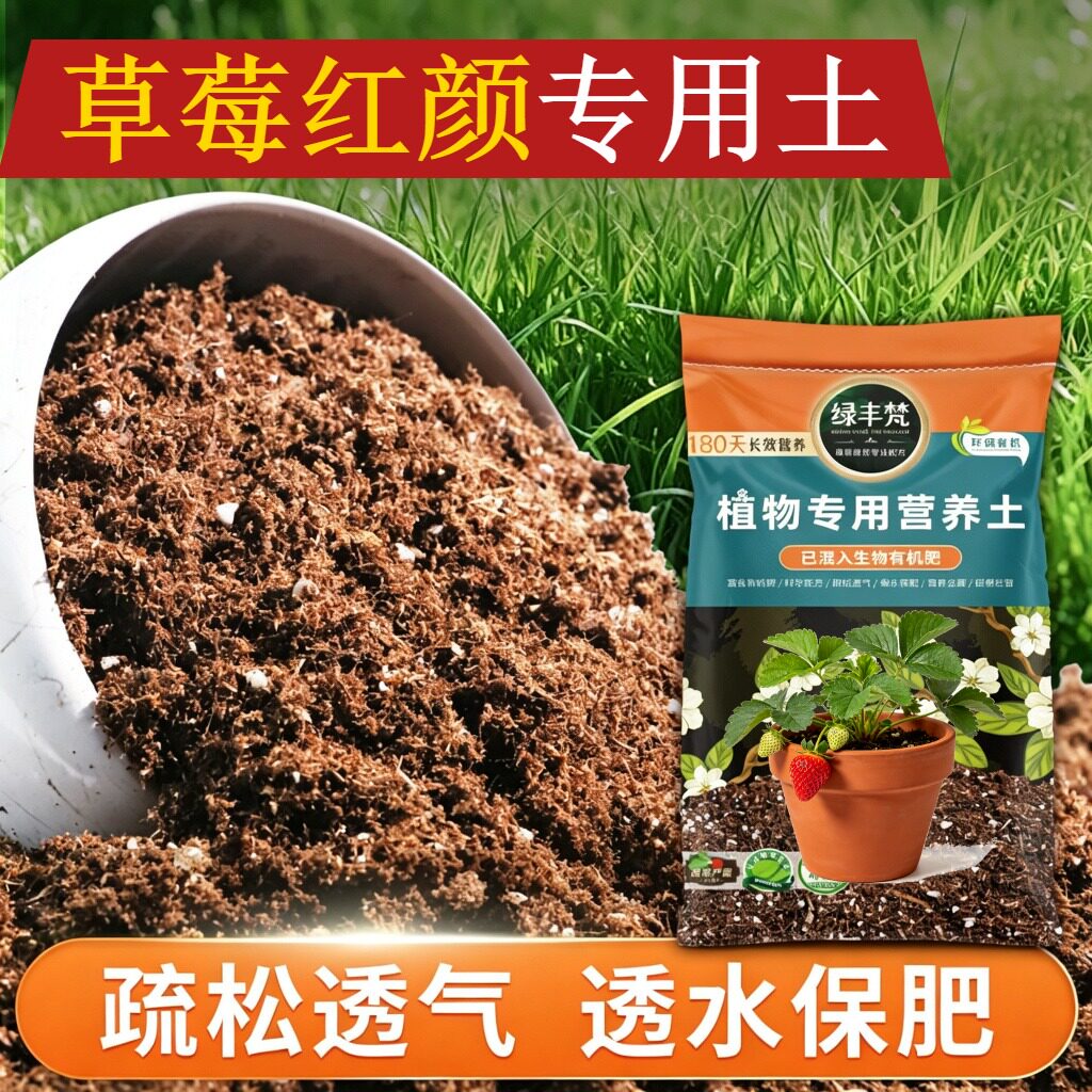 草莓红颜适用泥炭土养分持久营养土洁净基质减少积水大包装喜酸
