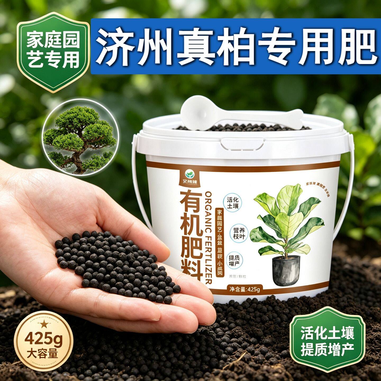 济州真柏适用肥叶面肥根系发达园艺室内营养肥盆栽追肥专用肥阳台