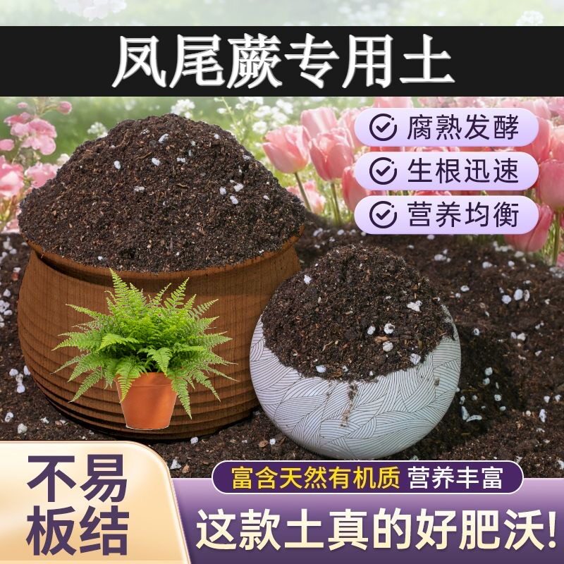 凤尾蕨适用腐叶土疏松透气花园加牛粪无菌促生长木本阳台菜园天然
