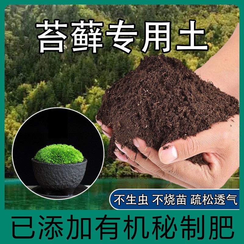苔藓专用土苔藓肥料营养土种植土酸性沙质土壤绿植通用家用盆栽肥