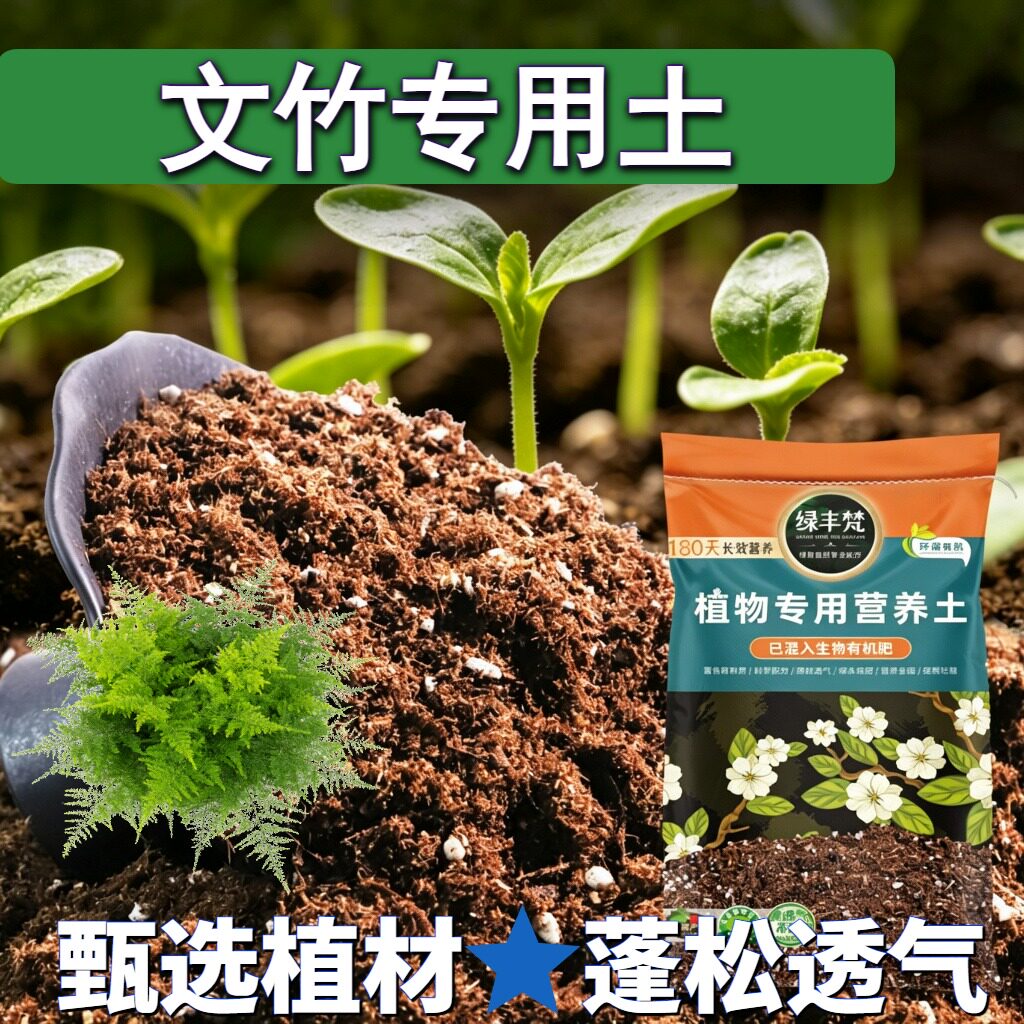 文竹专用营养土干净无杂嫁接种植土轻量基质留存水分开袋即用木本