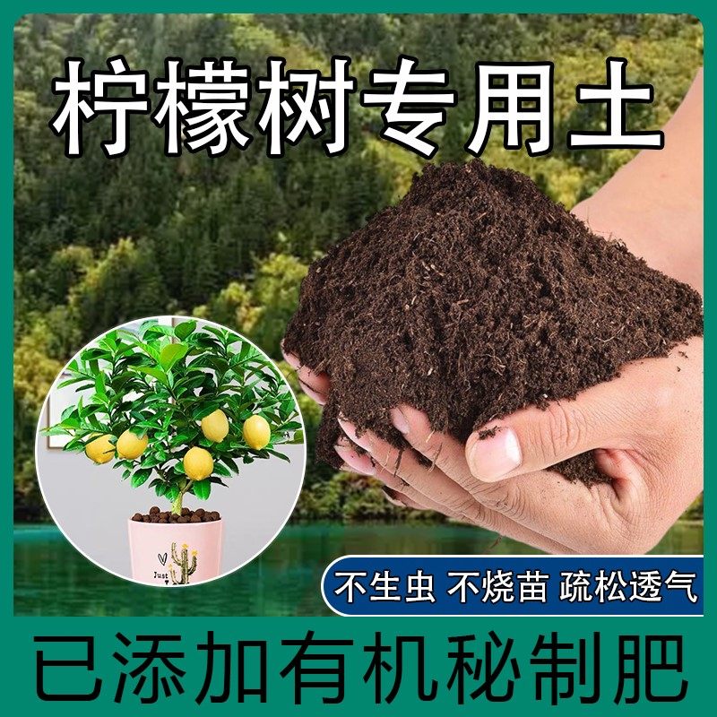 柠檬树专用土香水柠檬树营养土盆栽土养花种花土通用种植土壤肥料