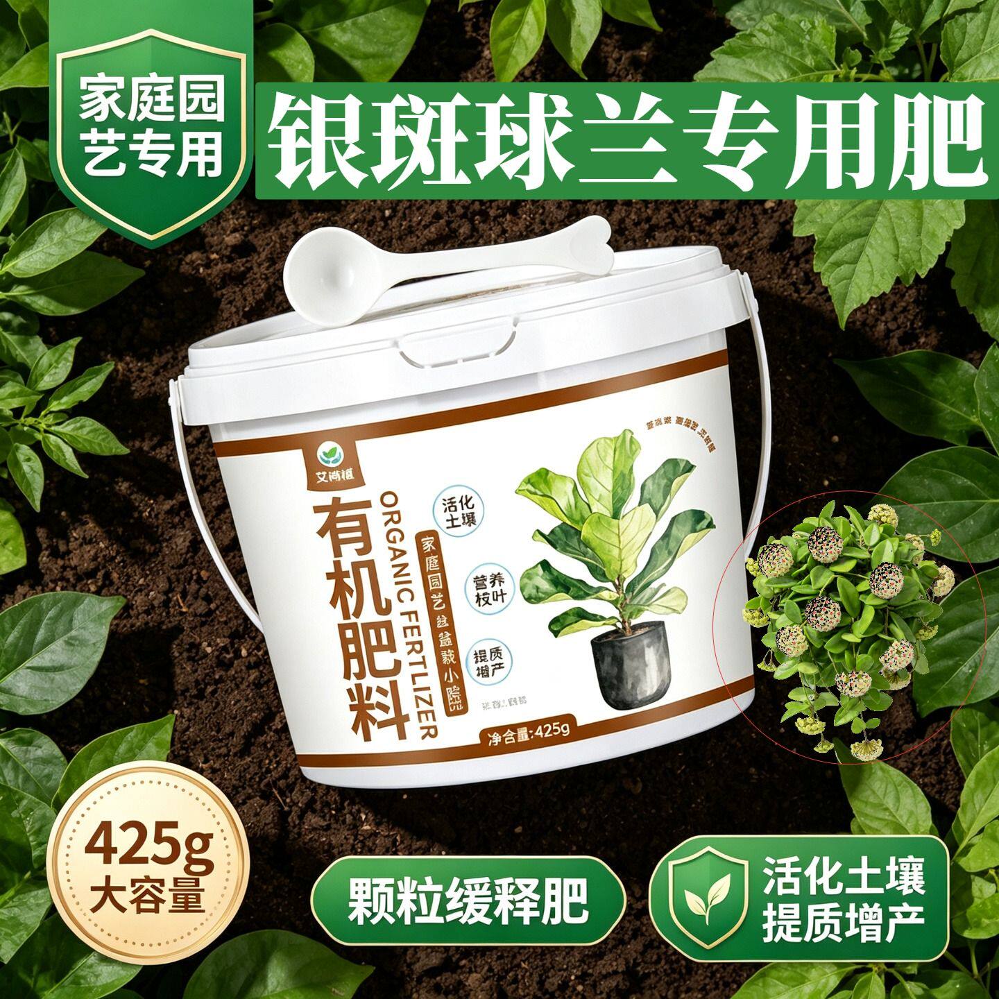 银斑球兰专用肥花肥平衡肥花多色艳室内园艺底肥缓释颗粒肥盆栽