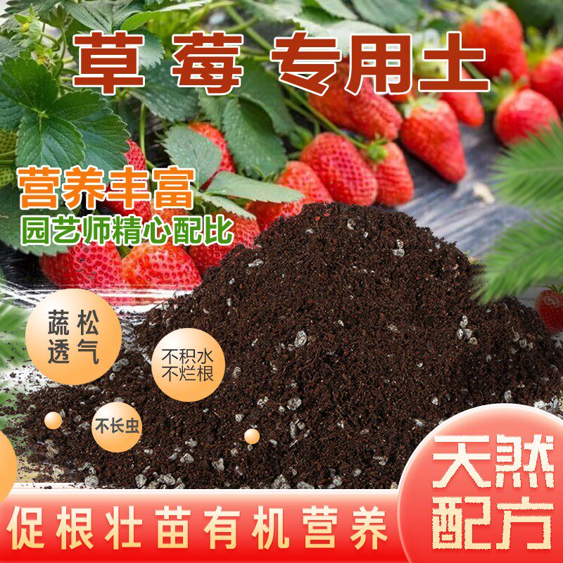 种草莓专用土营养土阳台草莓肥料专用肥盆栽草莓苗土壤泥土种植土