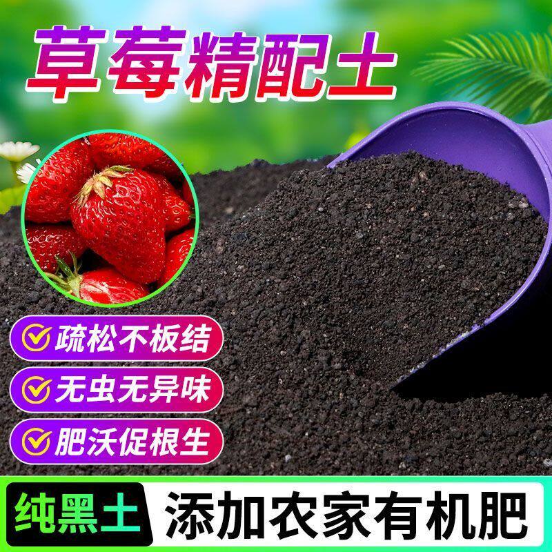 草莓有机营养土养花种菜专用土轻质土农家肥土疏松