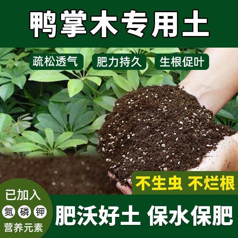 鸭脚木专用土有机土肥料鸭脚木营养土激活根系腐殖土促生根盆栽土