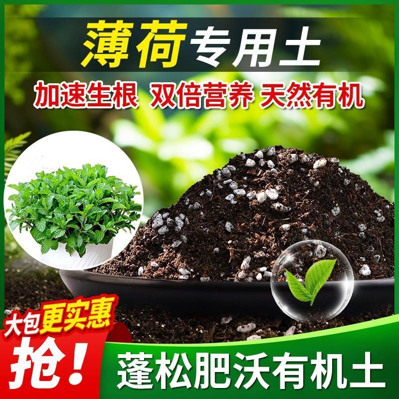 薄荷专用土薄荷土壤通用养花营养土多肉绿萝盆栽种植土椰糠土肥料