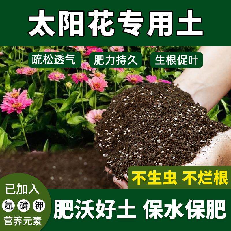 太阳花专用土种植土阳台养花花卉绿植植物通用太阳花营养土吸收快