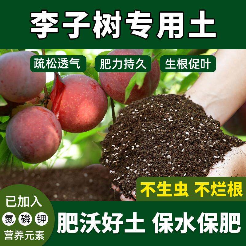 李子树专用土促生长室内盆栽激活根系李子树营养土发酵土植物花肥