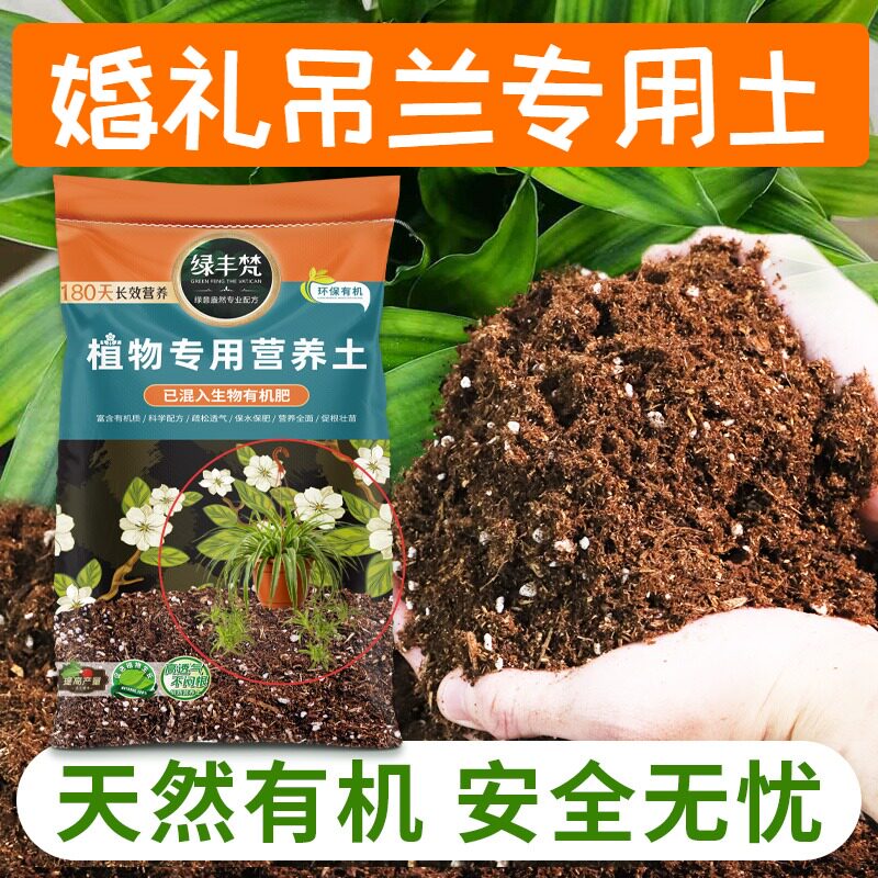 婚礼吊兰适用种植土养分持久营养土配比科学改善板结大包装观叶
