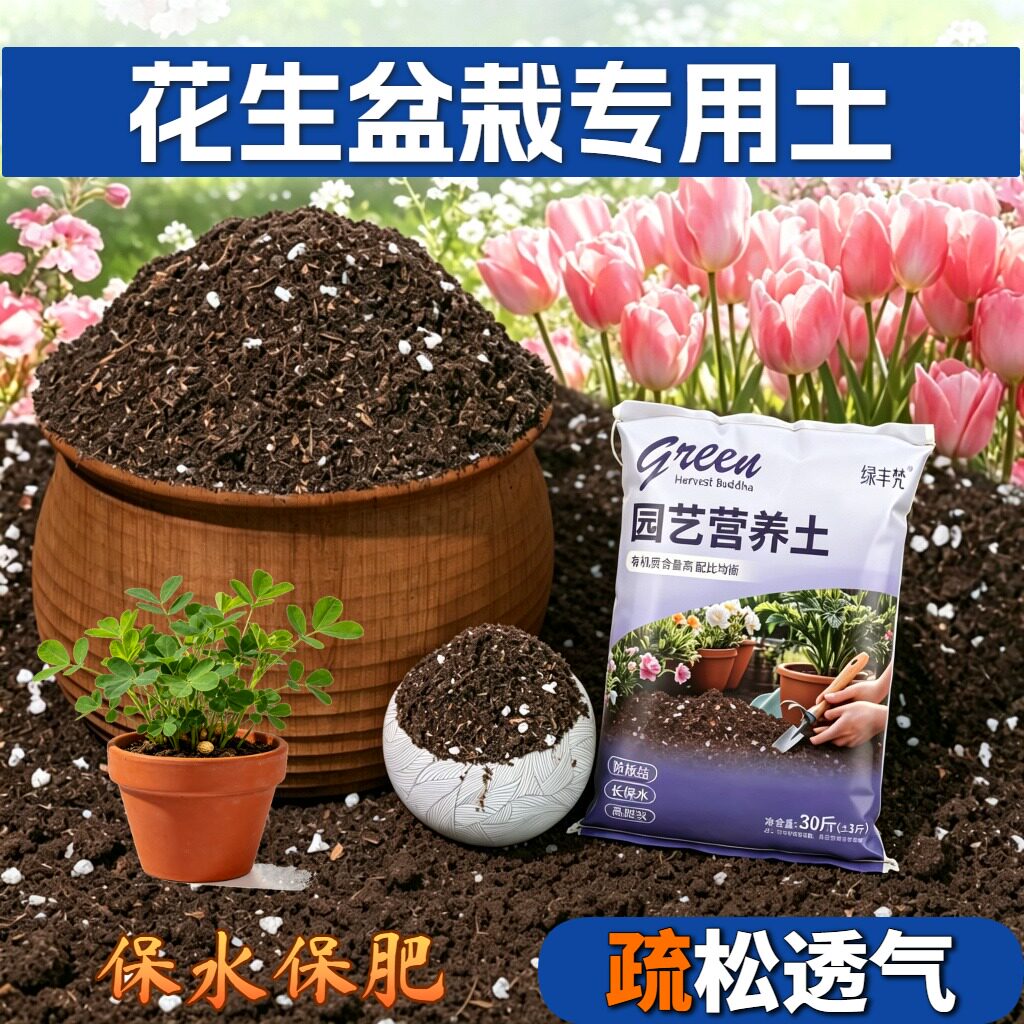 花生盆栽适用有机土高温腐熟腐殖泥炭土室内包邮进口防徒长球根