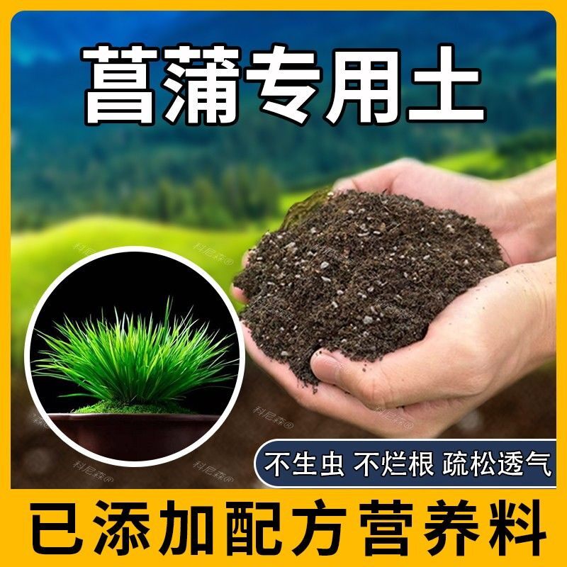 菖蒲专用土肥料菖蒲营养土阳台透气室内天然花卉育苗花土花盆植物