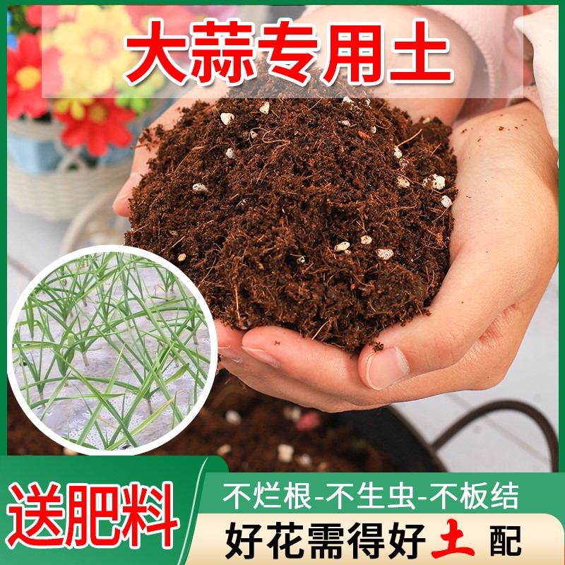 大蒜专用泥炭土种植土干湿循环好防烂根菜园营养土有机球根扦插