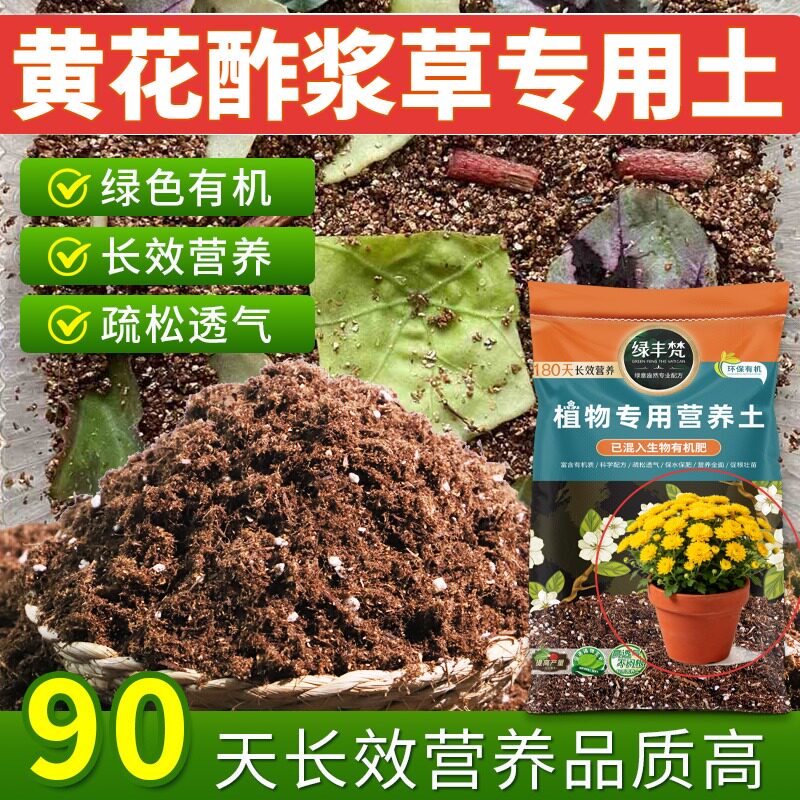 黄花酢浆草适用泥炭土疏松多孔营养土经久耐用平衡土质家用装观叶