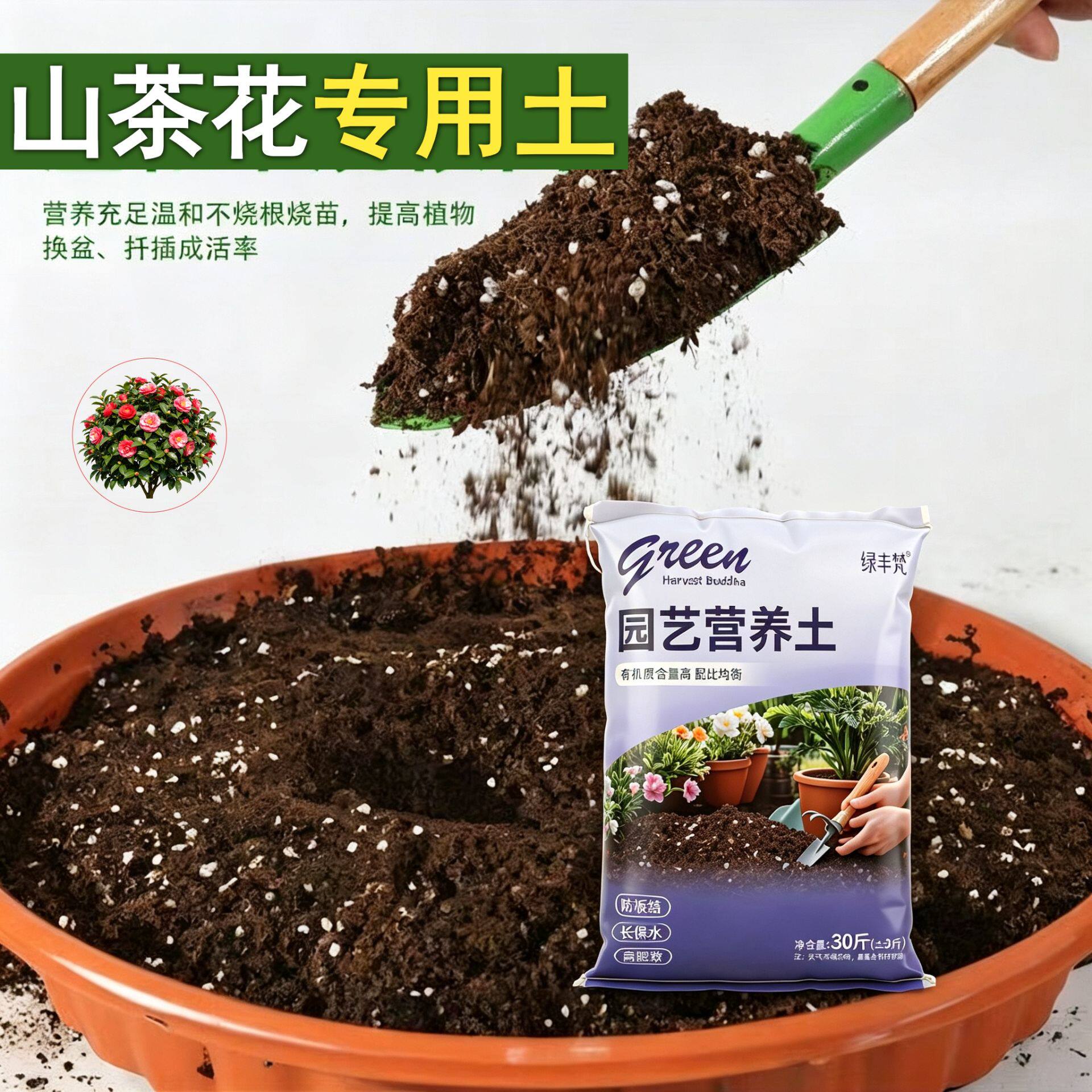 山茶花专用盆景土不闷根家庭园艺包邮天然壮根木本不烂根根壮苗好