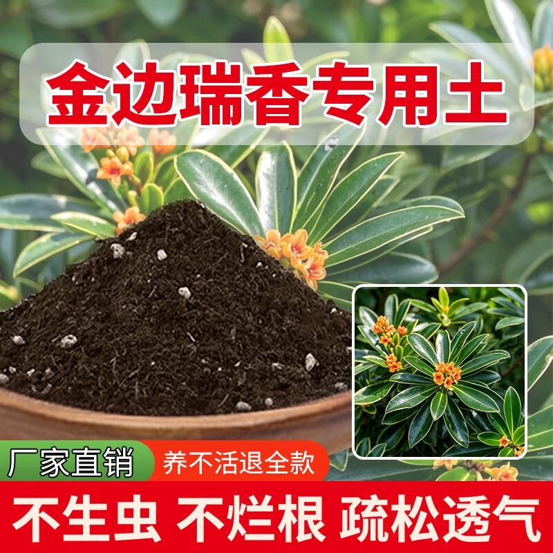 金边瑞香专用土盆栽专用土园艺育苗花土多肉土种花土肥料种菜通用