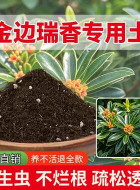 金边瑞香专用土盆栽专用土园艺育苗花土多肉土种花土肥料种菜通用