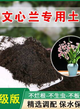 文心兰专用土文心兰营养土专用肥料通用种花种植土家用盆栽花泥土