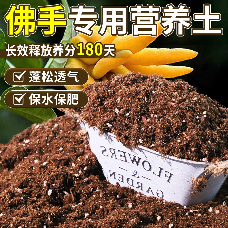 佛手专用腐殖土老桩适用干爽透气优化锁水表现大包装冠幅圆润