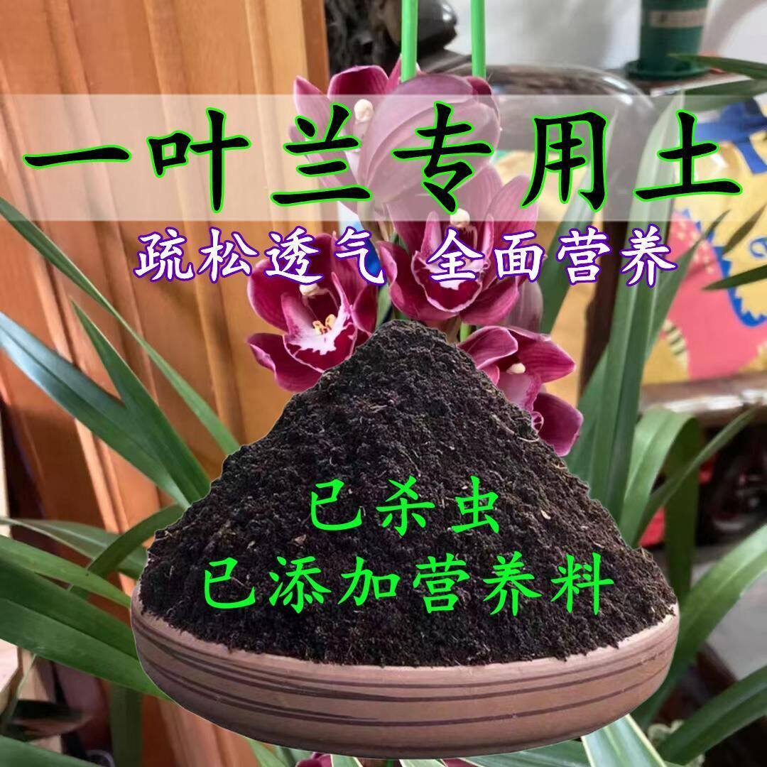 一叶兰专用土一叶兰专用营养土盆栽土养花种花土通用种植土壤肥料