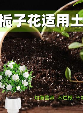 栀子花适用土酸性种花养花营养土通用疏松透气家用阳台室内种植土