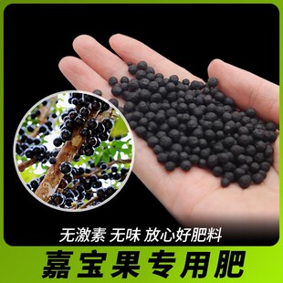 嘉宝果专用肥嘉宝果专用土增加果量控释肥果树专用肥料颗粒缓释肥