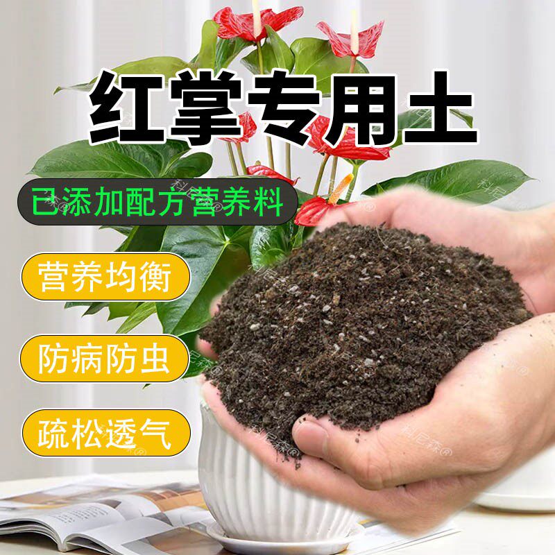 红掌专用土一帆风顺营养土白掌盆栽土专用肥料有机种花通用型土壤