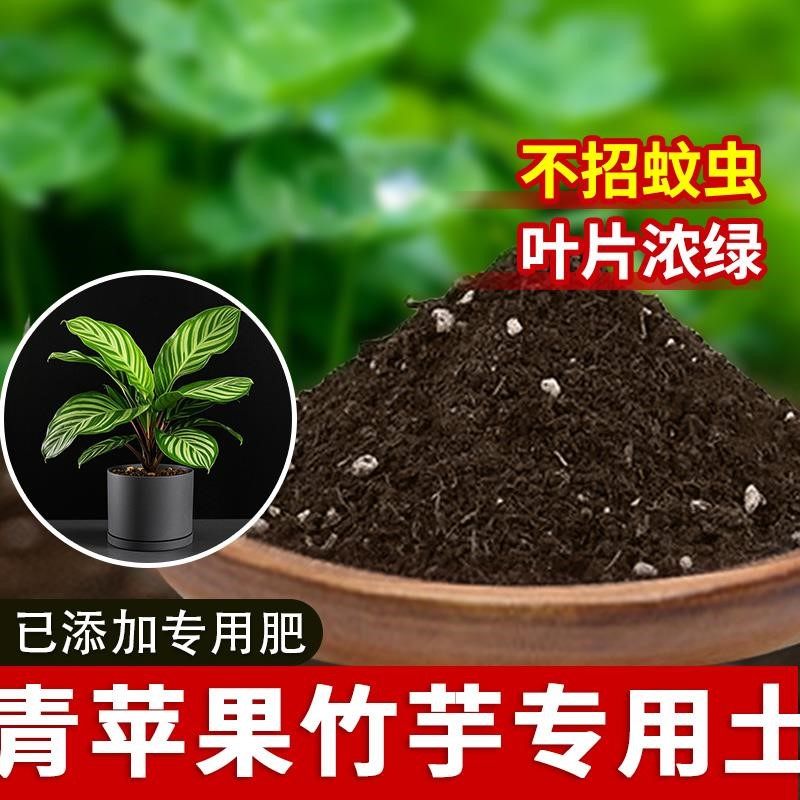 青苹果竹芋专用土青苹果竹芋专用营养土花卉泥土透气花土发酵花盆