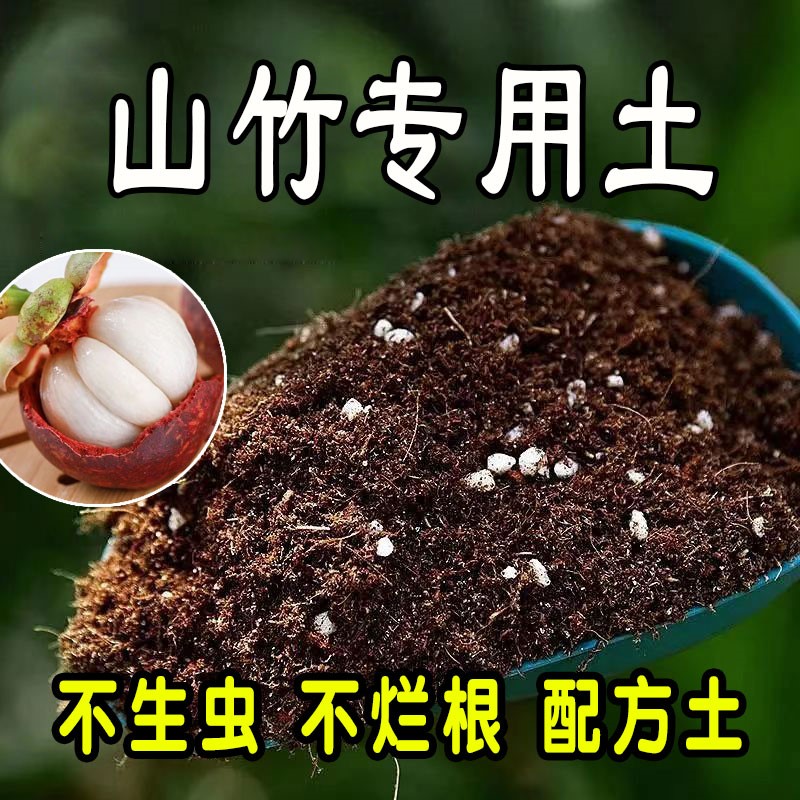 山竹盆栽种植土腐叶土不烂根加珍珠岩菜园加牛粪椰砖土种菜土家用