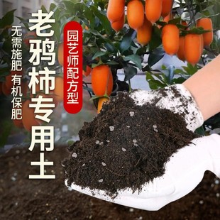 老鸦柿专用土肥料家庭种植老鸦柿营养土盆栽土壤绿植园艺土有机土