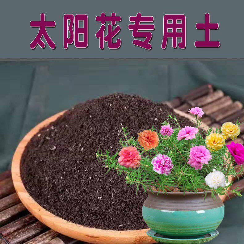 太阳花专用土太阳花土盆栽有机肥料营养土壤种花养花土家用种植土