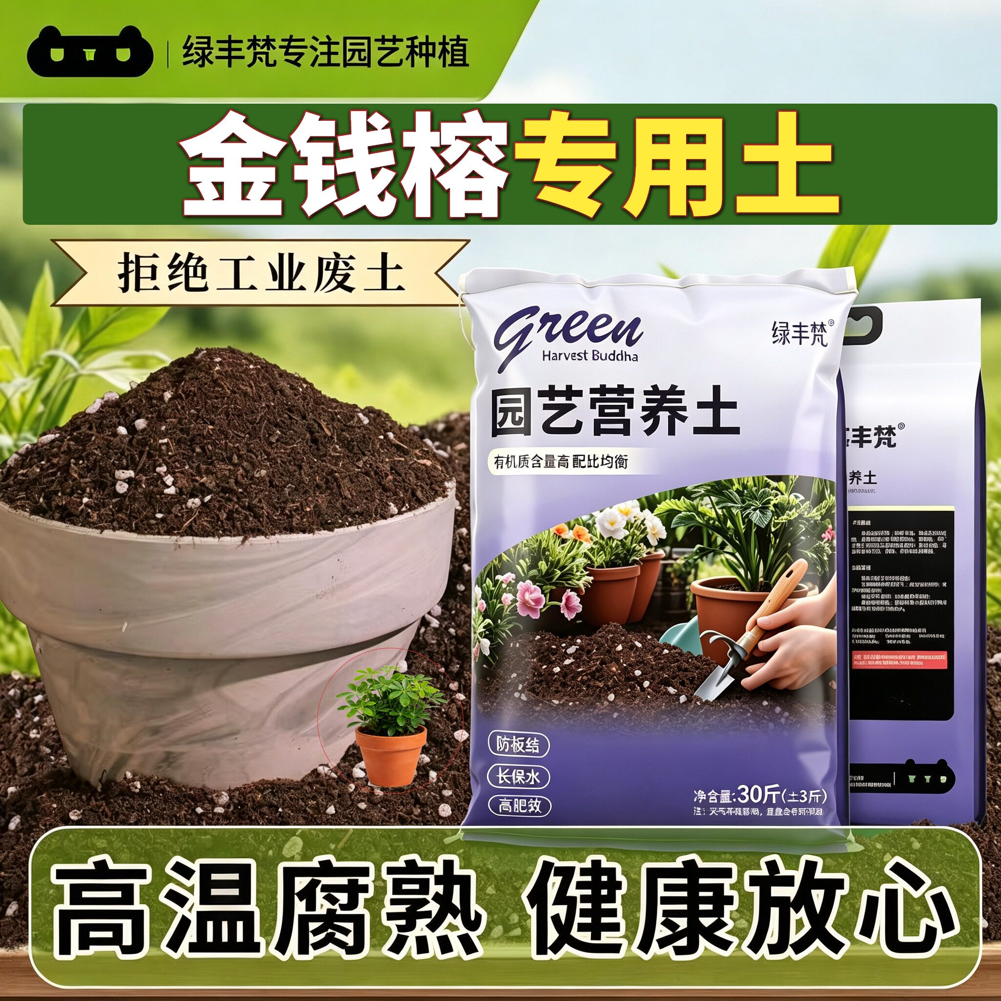 金钱榕适用基质腐殖泥炭土高温腐熟盆栽加牛粪精选绿叶喜酸扦插
