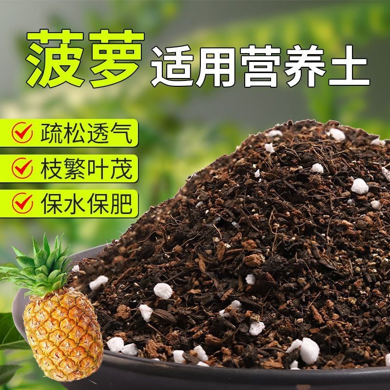 【菠萝专用土】疏松透气盆栽绿植专用园艺室内植物有机营养土肥料