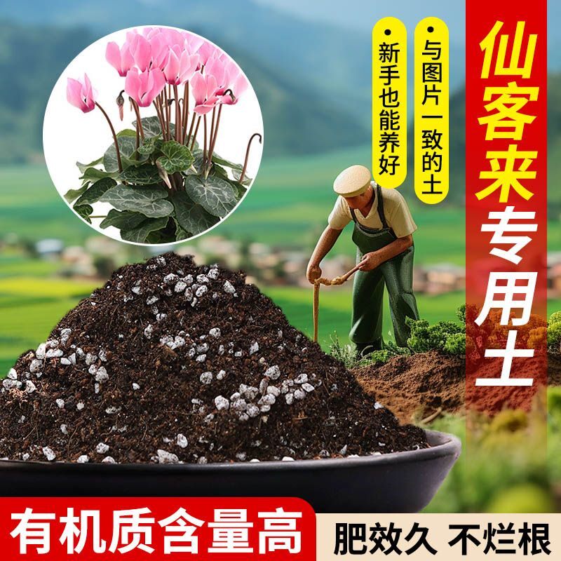 仙客来营养土含泥炭肥料通用有机种植土轻质土壤疏松透气专用土